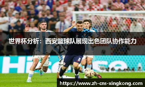 星空体育在线官网